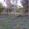 Dominicana-Home.com - Продажа и аренда недвижимости в Доминиканской республике