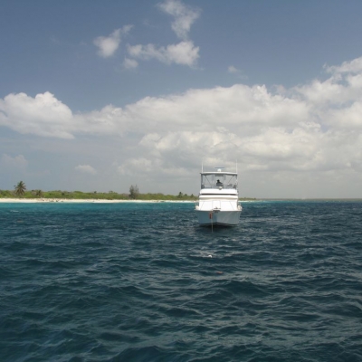 Случайное фото Доминиканской республики. Посмотреть всю фотогарелею